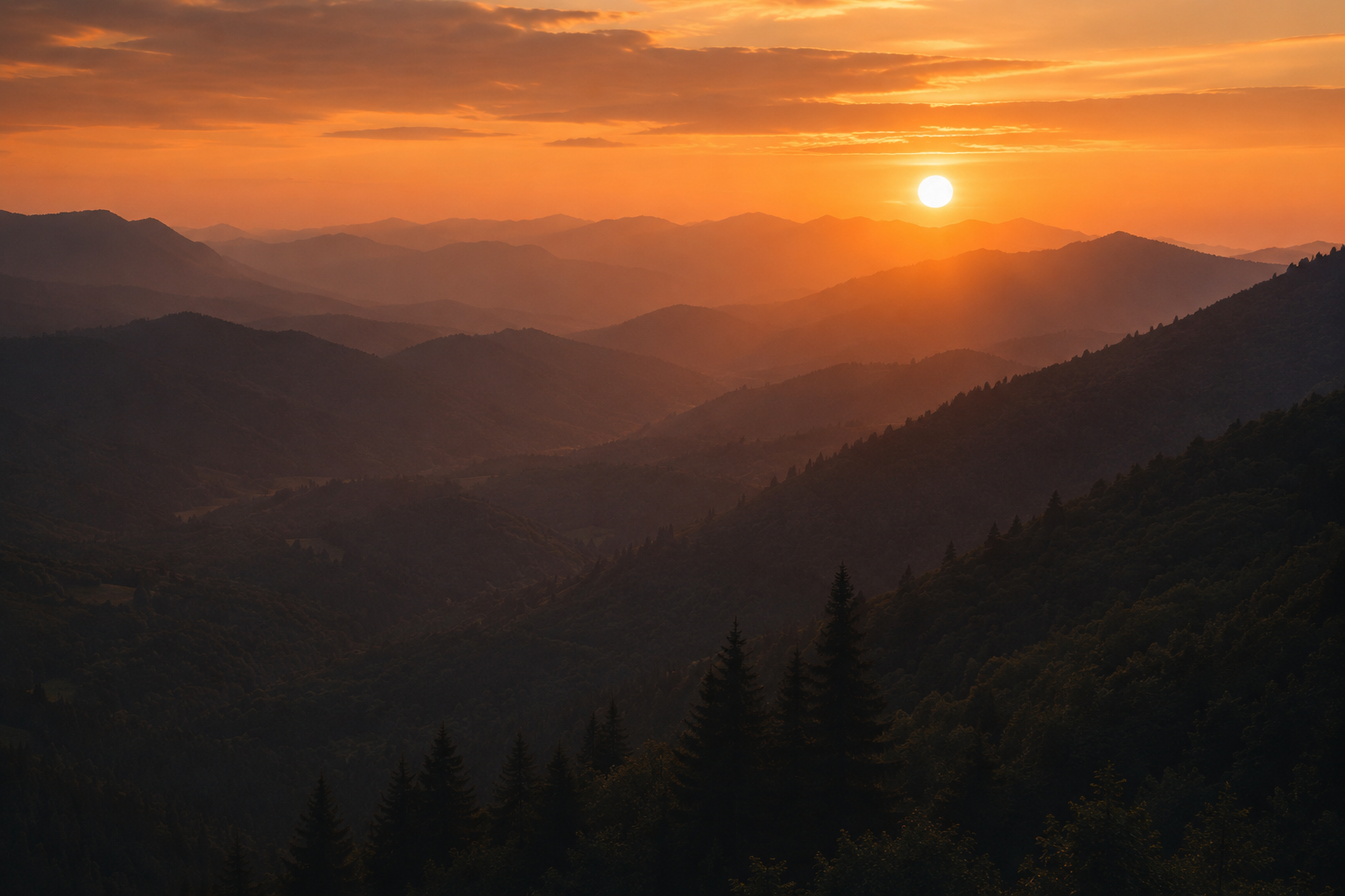Silhouette of a forested mountain range at sunset, symbolizing long-term health and resilience built over time.
